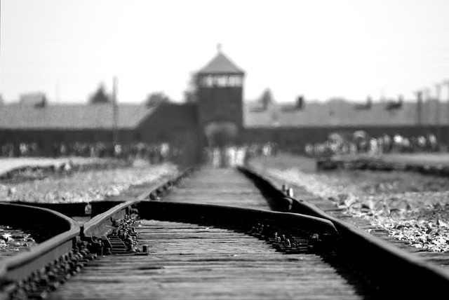 Visuel Birkenau, Auschwitz